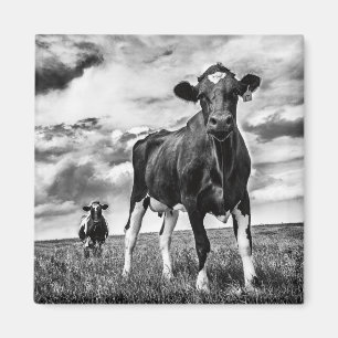 Waiting BW Crop Magnet