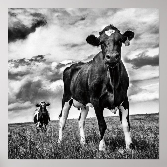 Waiting BW Crop Poster (Front)