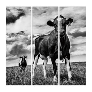 Waiting BW Crop Triptych