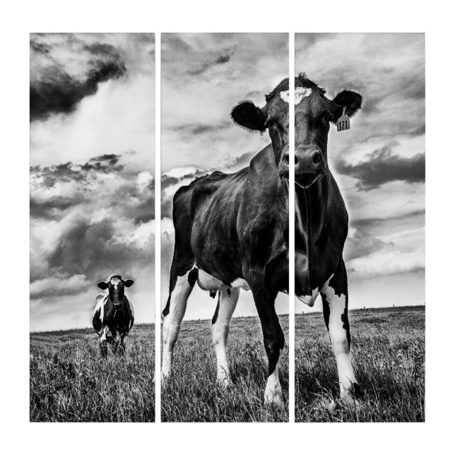 Waiting BW Crop Triptych (Front)