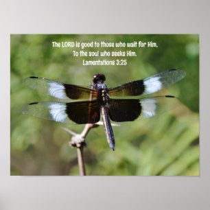 Waiting Dragonfly Nature Bible Verse Poster