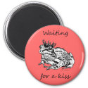 Waiting For a Kiss magnet
