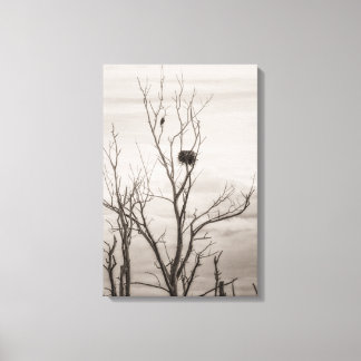 Waiting for Life Canvas Print