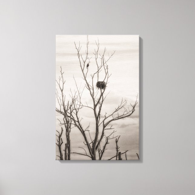 Waiting for Life Canvas Print (Front)