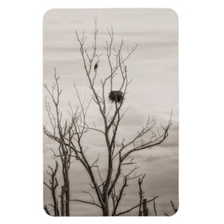 Waiting for Life Magnet