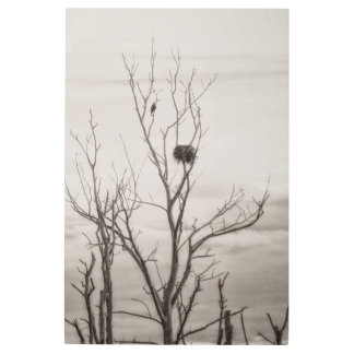 Waiting for Life Metal Print
