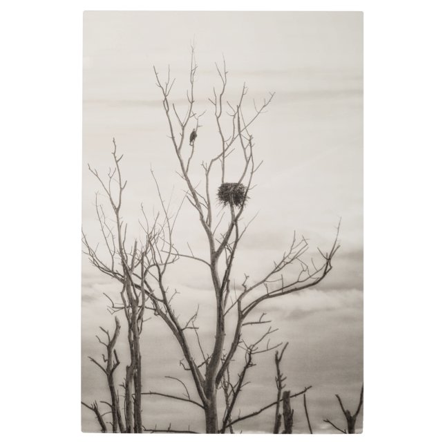 Waiting for Life Metal Print (Front)