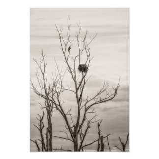 Waiting for Life Photo Print