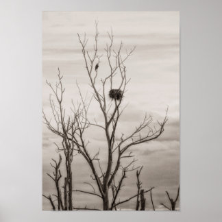 Waiting for Life Poster