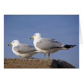 Waiting for Lift-Off (Front Horizontal)