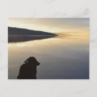 Waiting for Master Postcard