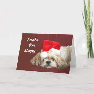 Waiting for Santa Holiday Card