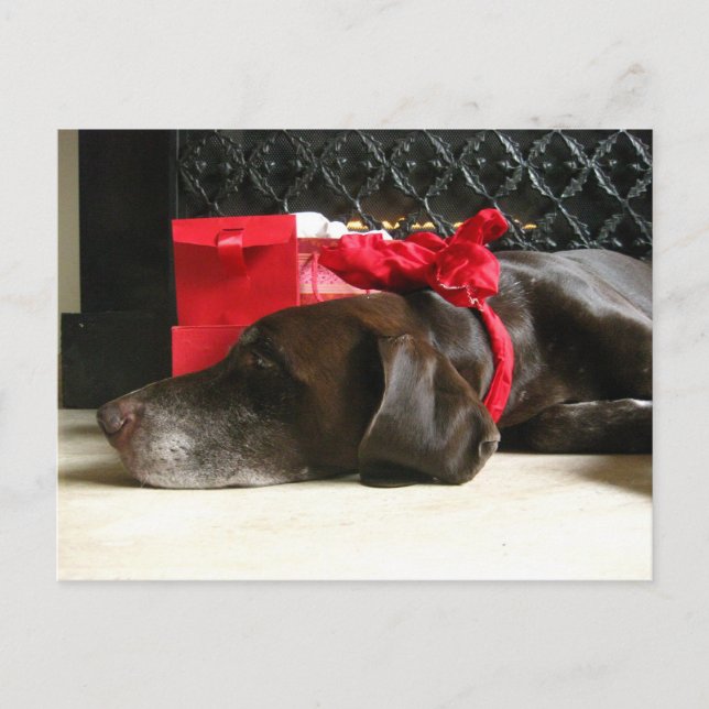 waiting for santa holiday postcard (Front)