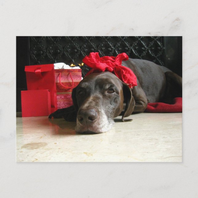 waiting for santa holiday postcard (Front)