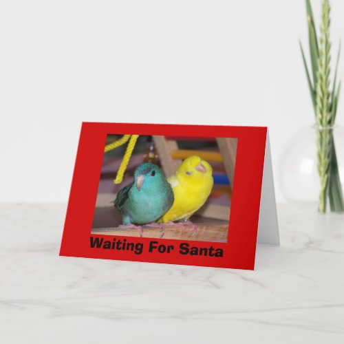 Waiting For Santa Merry Christmas card