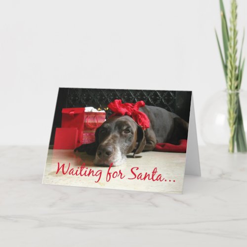 waiting for santa  pointer and gifts at fireplace holiday card