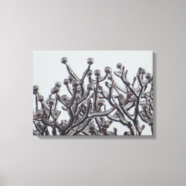 Waiting For Spring -- Dogwood Tree In Ice Canvas Print (Front)