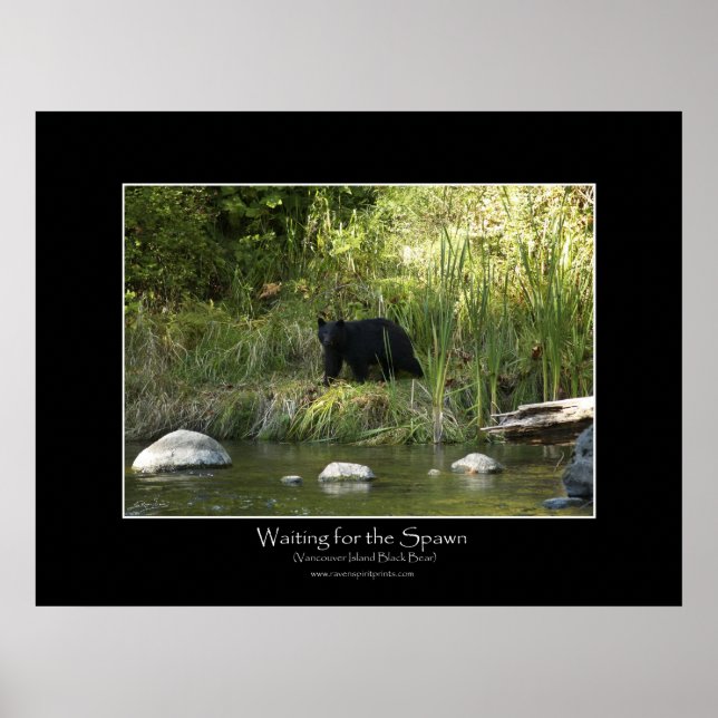 WAITING FOR THE SPAWN Photo Print (Front)