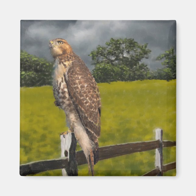 Waiting for the Storm - Red tail Hawk Magnet (Front)