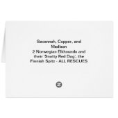 Waiting for treats (Back Horizontal)