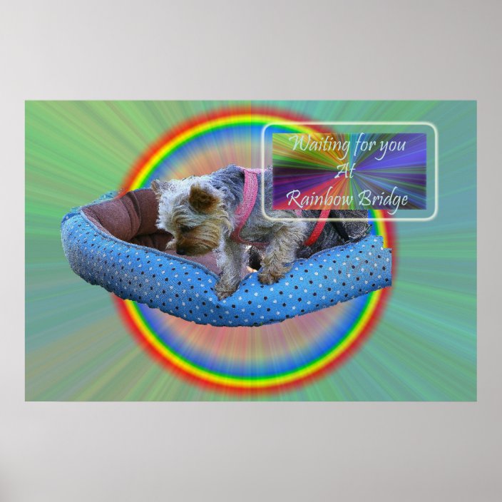Waiting for you at Rainbow Bridge Poster