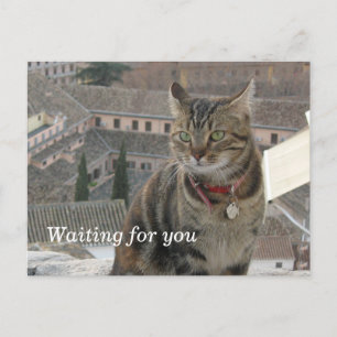 Waiting for you Postcard