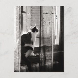 Waiting for you - Postcard