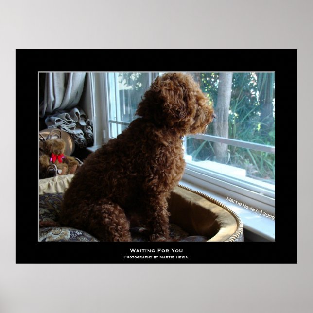 "Waiting For You" Poster (Front)