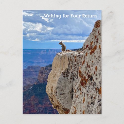 Waiting for You Sentimental Wildlife Nature  Postcard