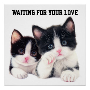 Waiting for Your Love Poster