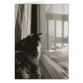 Waiting in the Sun (Front)