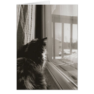 Waiting in the Sun Cards