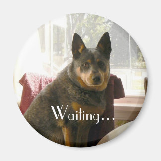 Waiting... Magnet