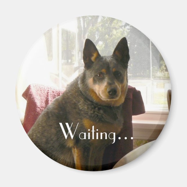 Waiting... Magnet (Front)
