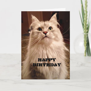 Waiting Patiently for Cake Birthday Card