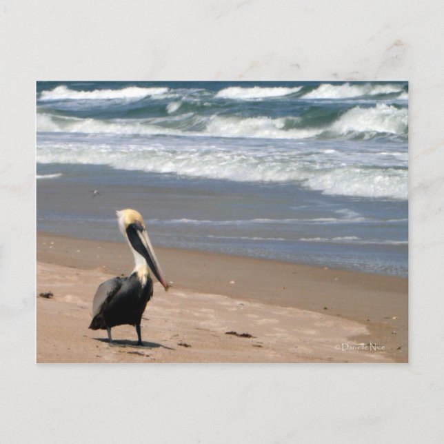 Waiting Postcard (Front)