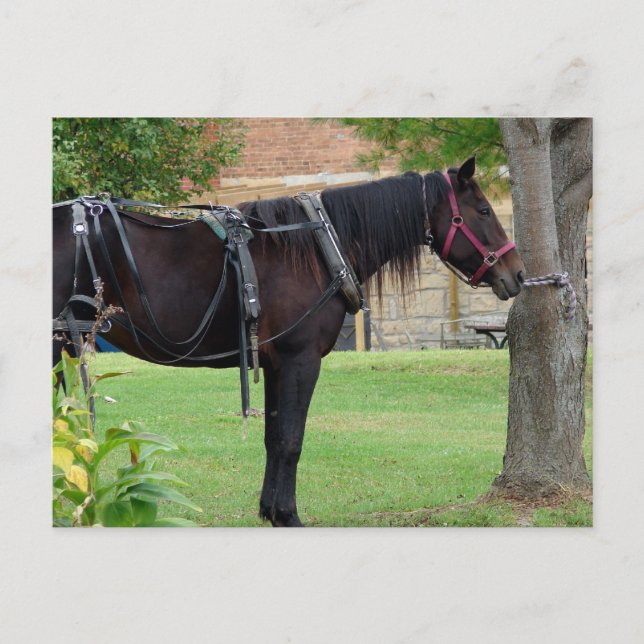 Waiting Postcard (Front)