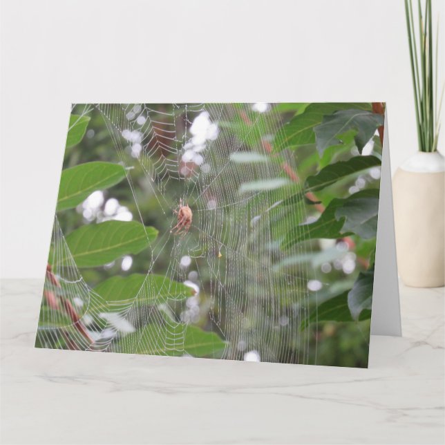 Waiting Spider Card (Front)