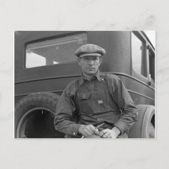 Waiting to pick oranges postcard (Front)