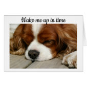 "WAKE ME UP IN TIME" FOR YOU AND SANTA (Front Horizontal)