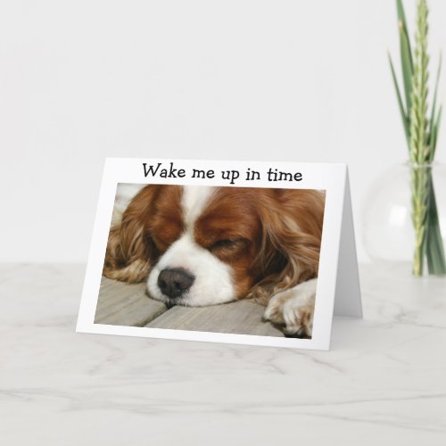 WAKE ME UP IN TIME SAY SPANIEL BIRTHDAY GREETING CARD