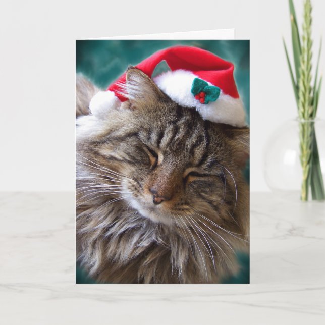 Wake Me Up Santa Cat Card (Front)