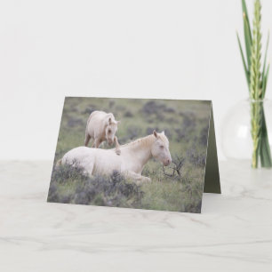 Wake Up Brother Wild Horse Greeting Card