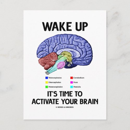 Wake Up Its Time To Activate Your Brain Humor Postcard