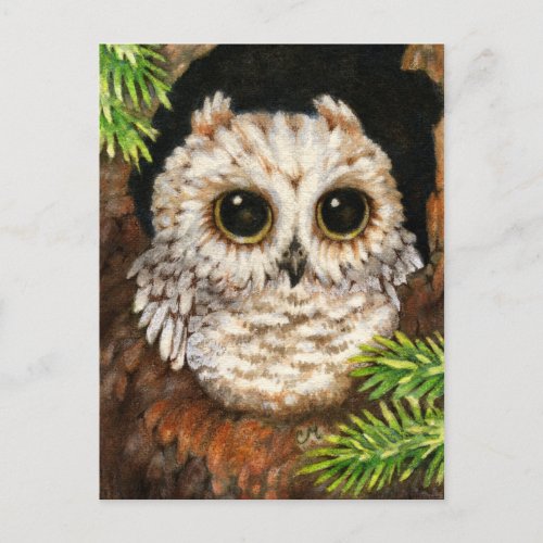 Wake Up, Little Owl - Cute Bird Art Postcard