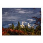 Waking Up (Front Horizontal)