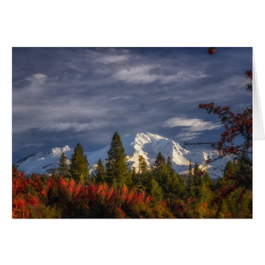 Waking Up (Front Horizontal)