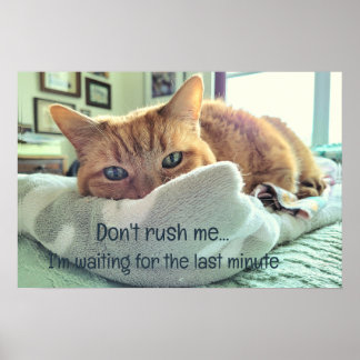 Waking Up Kitty Poster