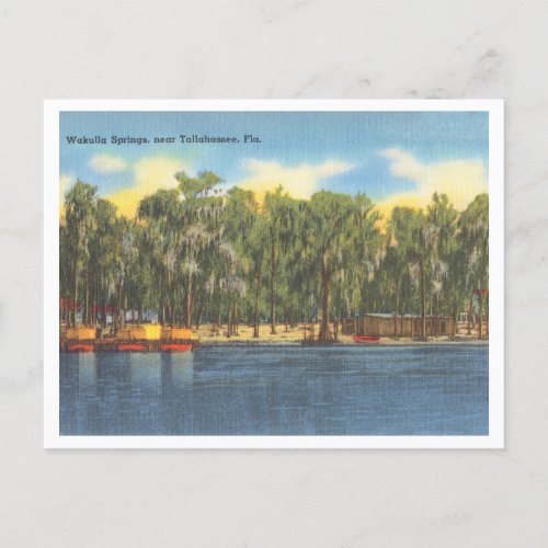 Wakulla Springs Florida Vintage with Boats Postcard