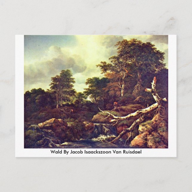 Wald By Jacob Isaackszoon Van Ruisdael Postcard (Front)